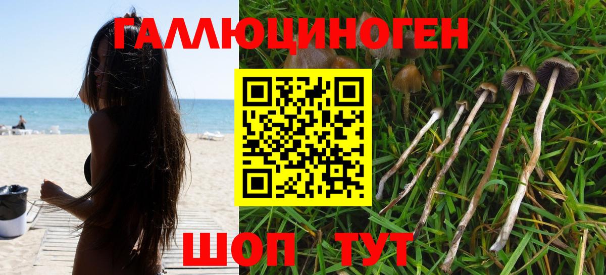 Псилоцибиновые грибы мухоморы  купить  сайты  Вход с VPN  Красноуфимск  Псилоцибиновые грибы MAGIC MUSHROOMS 